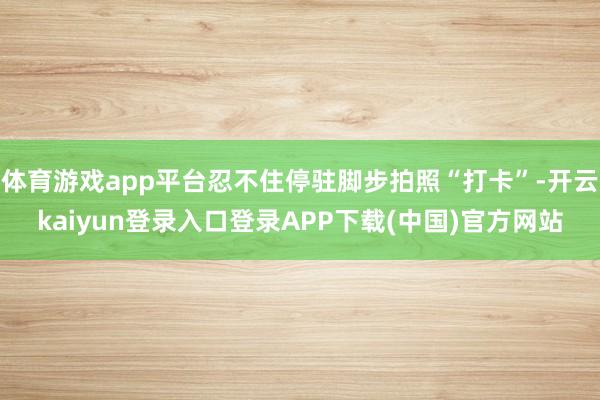 体育游戏app平台忍不住停驻脚步拍照“打卡”-开云kaiyun登录入口登录APP下载(中国)官方网站